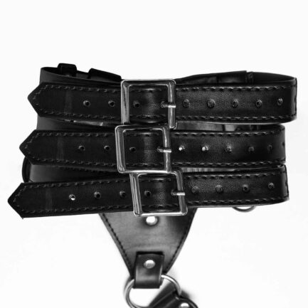 WS-628 – Image 3